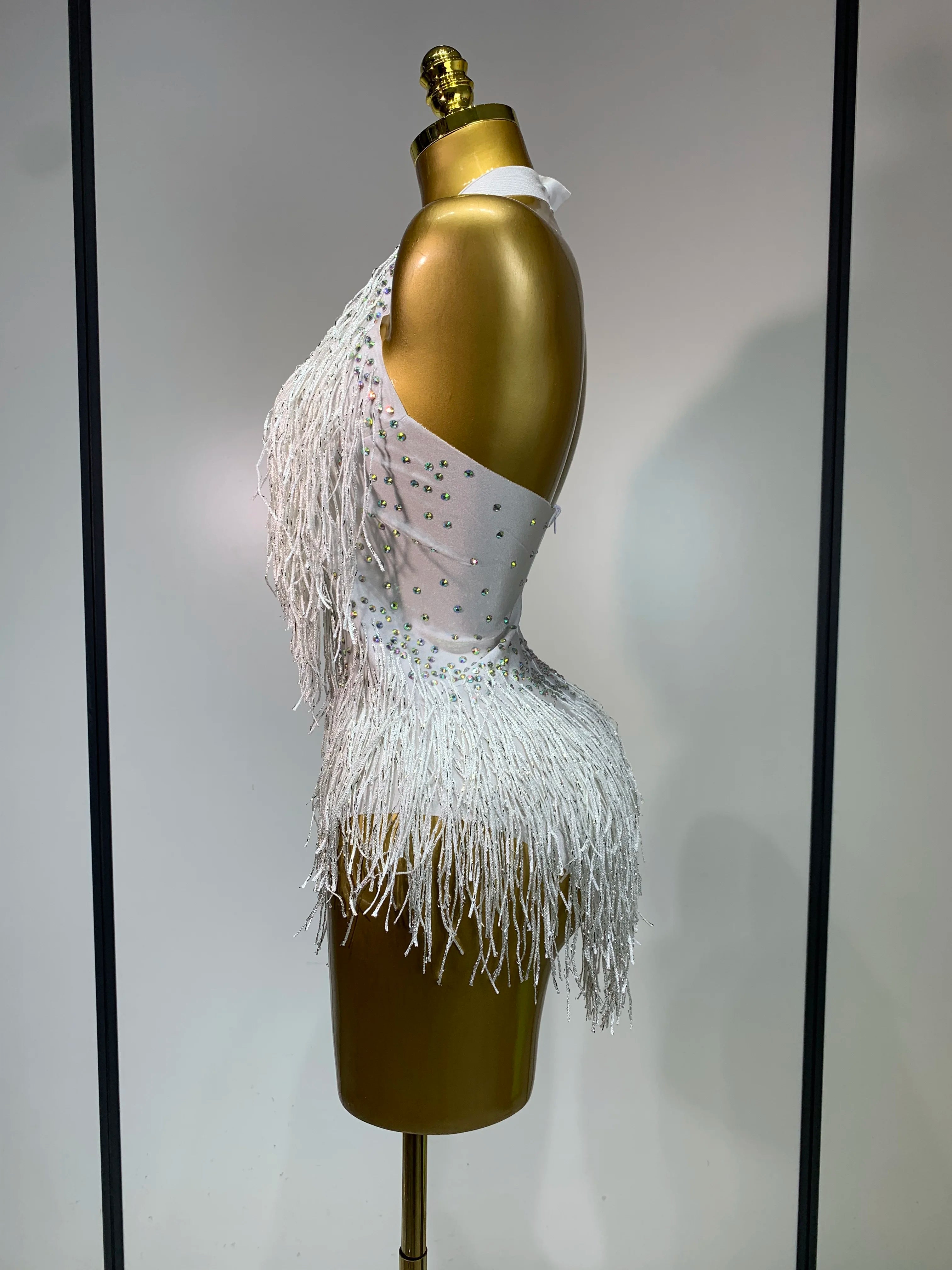 Sparkly Rhinestones Fringes Leotard Women Nightclub Evening Party Outfit Dance Costume Stage Outfit Sexy Performance Bodysuit