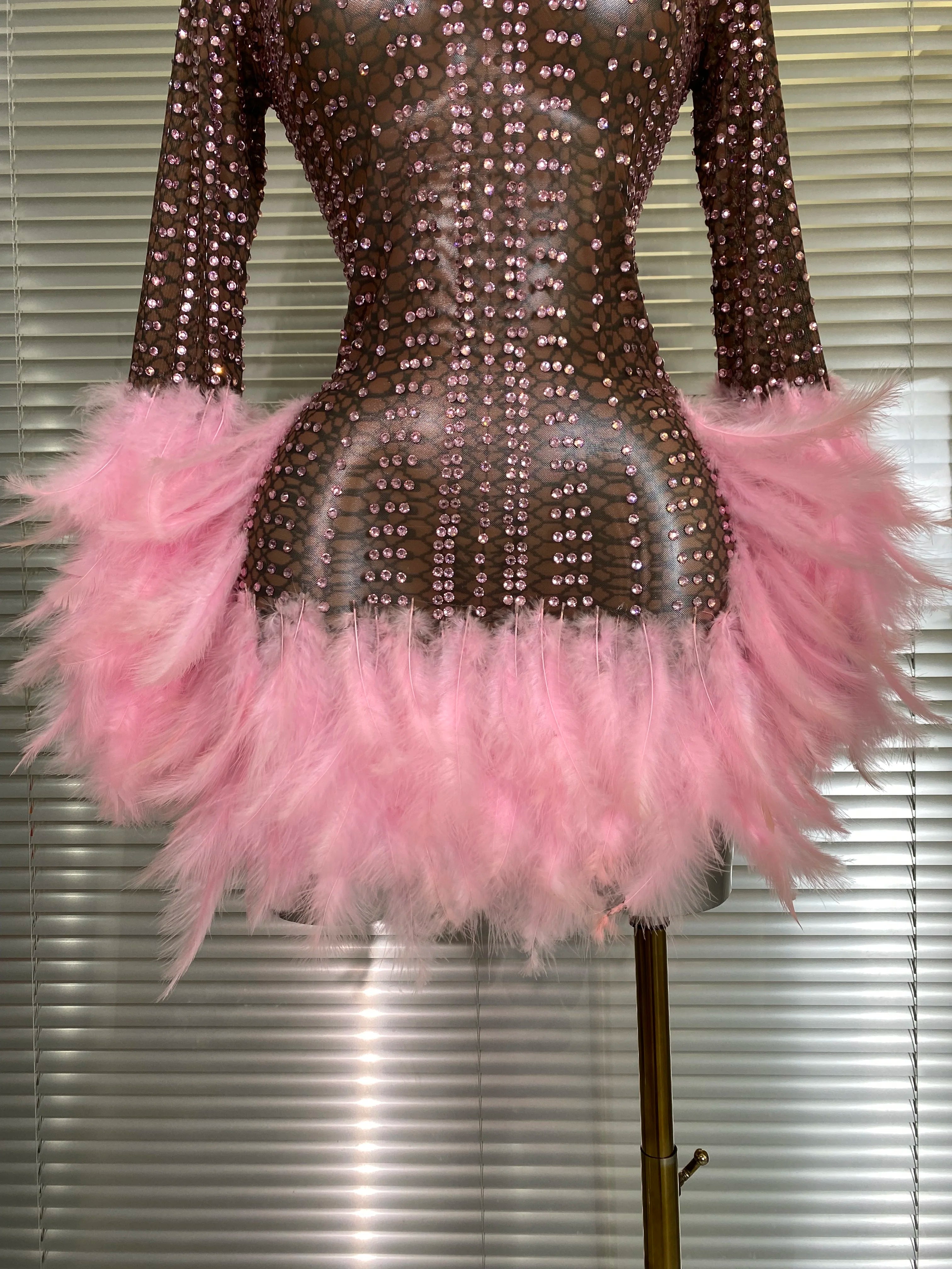 New Women Sexy Transparent Stretched Mesh Feathers Stage Performance Costume Stage Dancer Singer Mini Night Club Party Dress