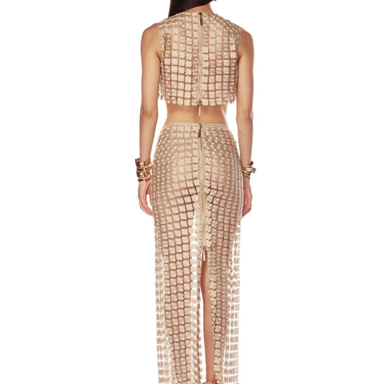 VC Stylish Beige Sleeveless Cropped Top & Sheer Skirt Set with Zipper for Festival & Party Chic Dress Gown