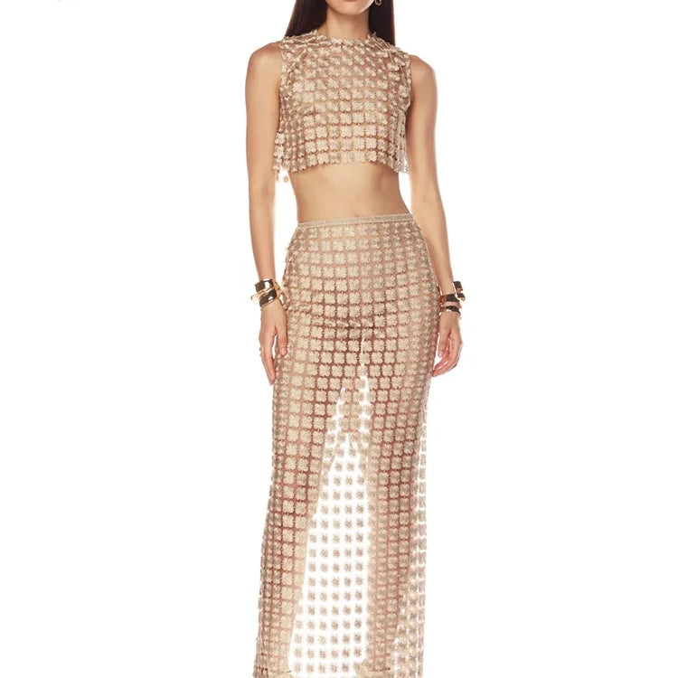 VC Stylish Beige Sleeveless Cropped Top & Sheer Skirt Set with Zipper for Festival & Party Chic Dress Gown