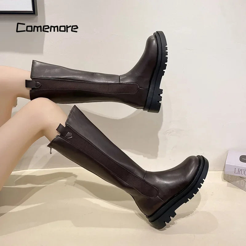 Women Heels Fashion Slip on Shoes Ladies Elegant Thick Sole Long Knight Boot Demi-season Platform Winter Punk Boots