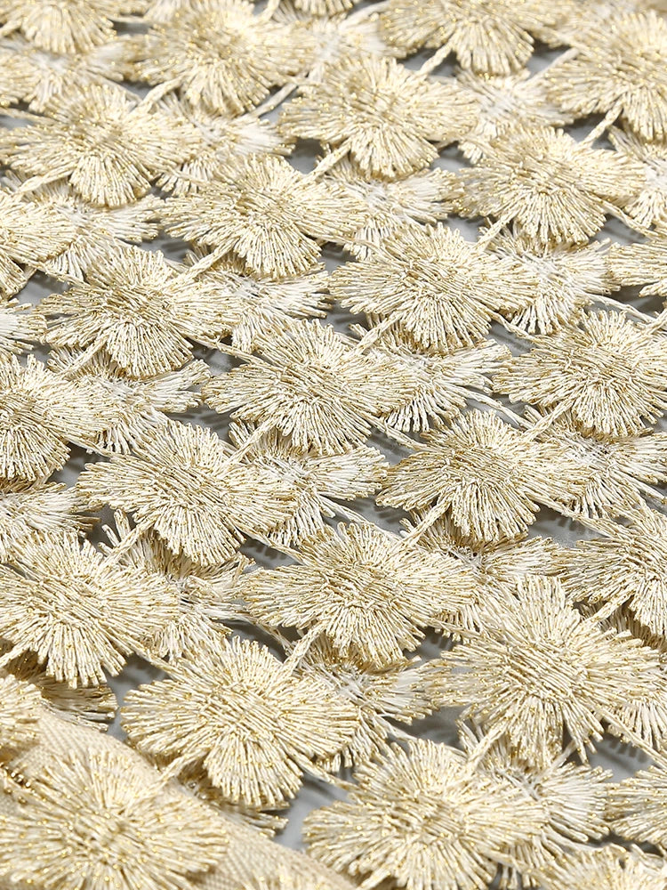 VC Stylish Beige Sleeveless Cropped Top & Sheer Skirt Set with Zipper for Festival & Party Chic Dress Gown