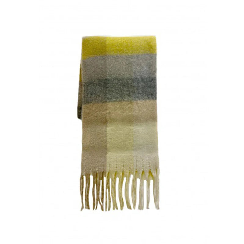 Classic Plaid Scarf Women Autumn Winter Soft Warm Scarf Luxury Long Simple Scarf Thickened Soft Shawl Fashion Accessories BE no tag
