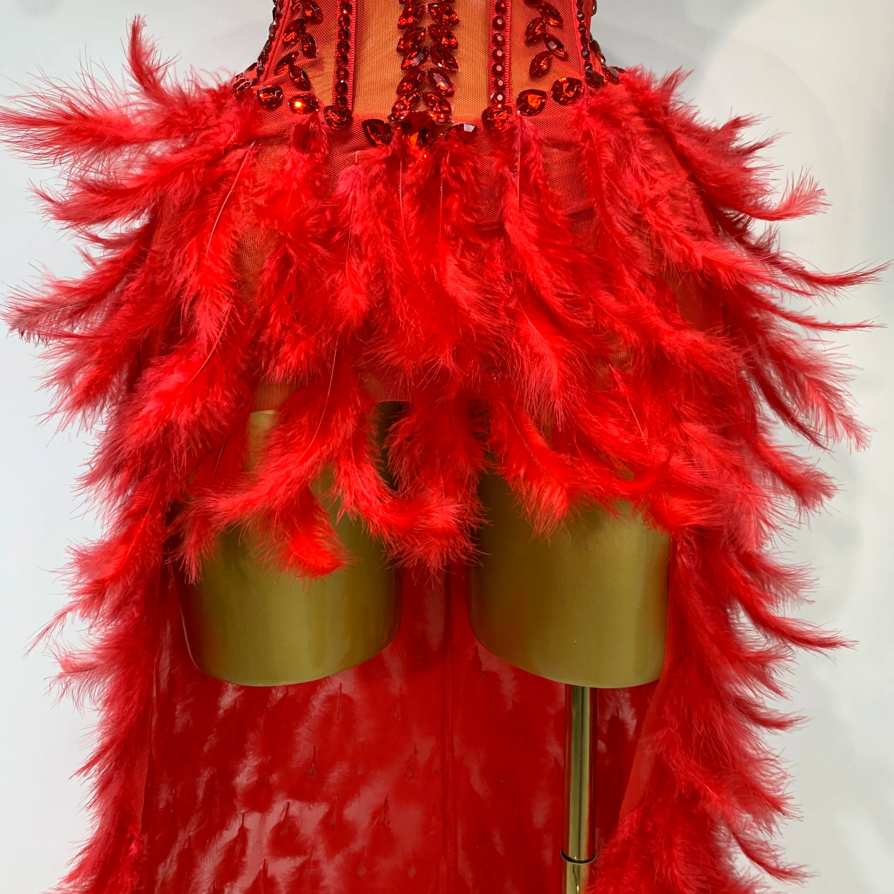 Sparkly Rhinestones Bodysuit Feathers Long Tail Dress Sexy Mesh Transparent Evening Party Celebrate Birthday Dress Stage Outfit