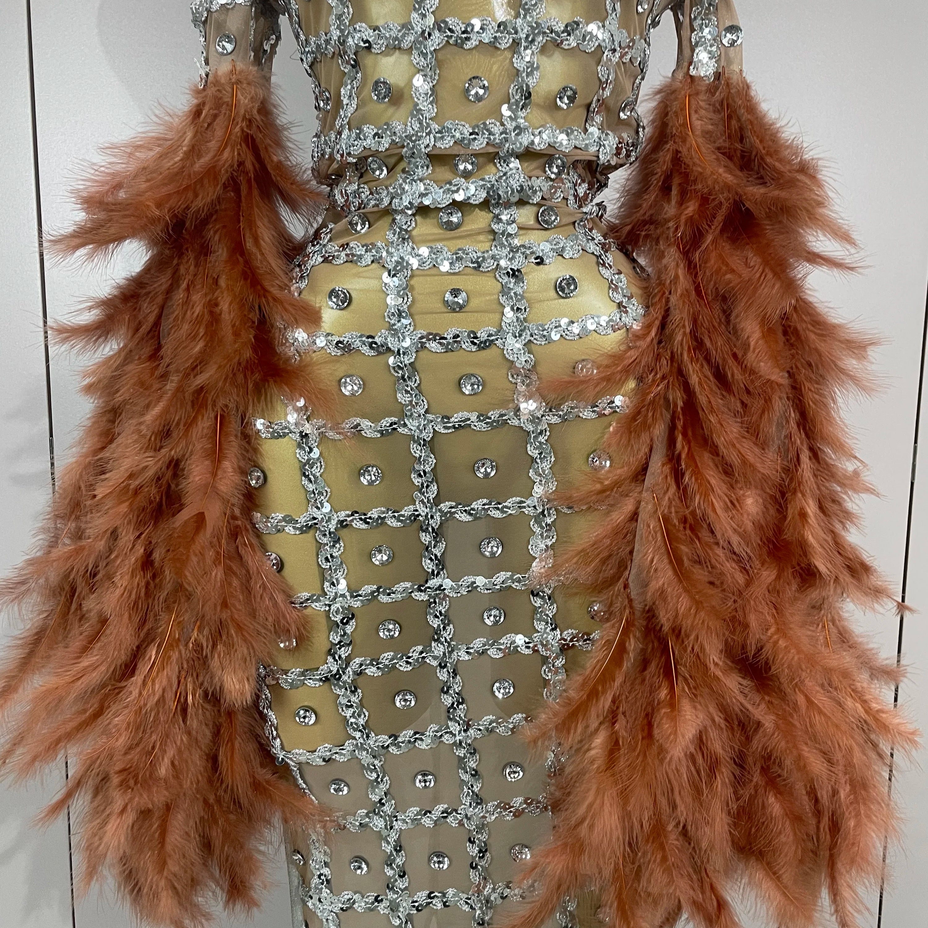 Luxury Sparkling Diamond Feather Mesh Tight Sexy Mesh Long Dress 2025 Women Birthday Party Nightclub Stage Performance Costume