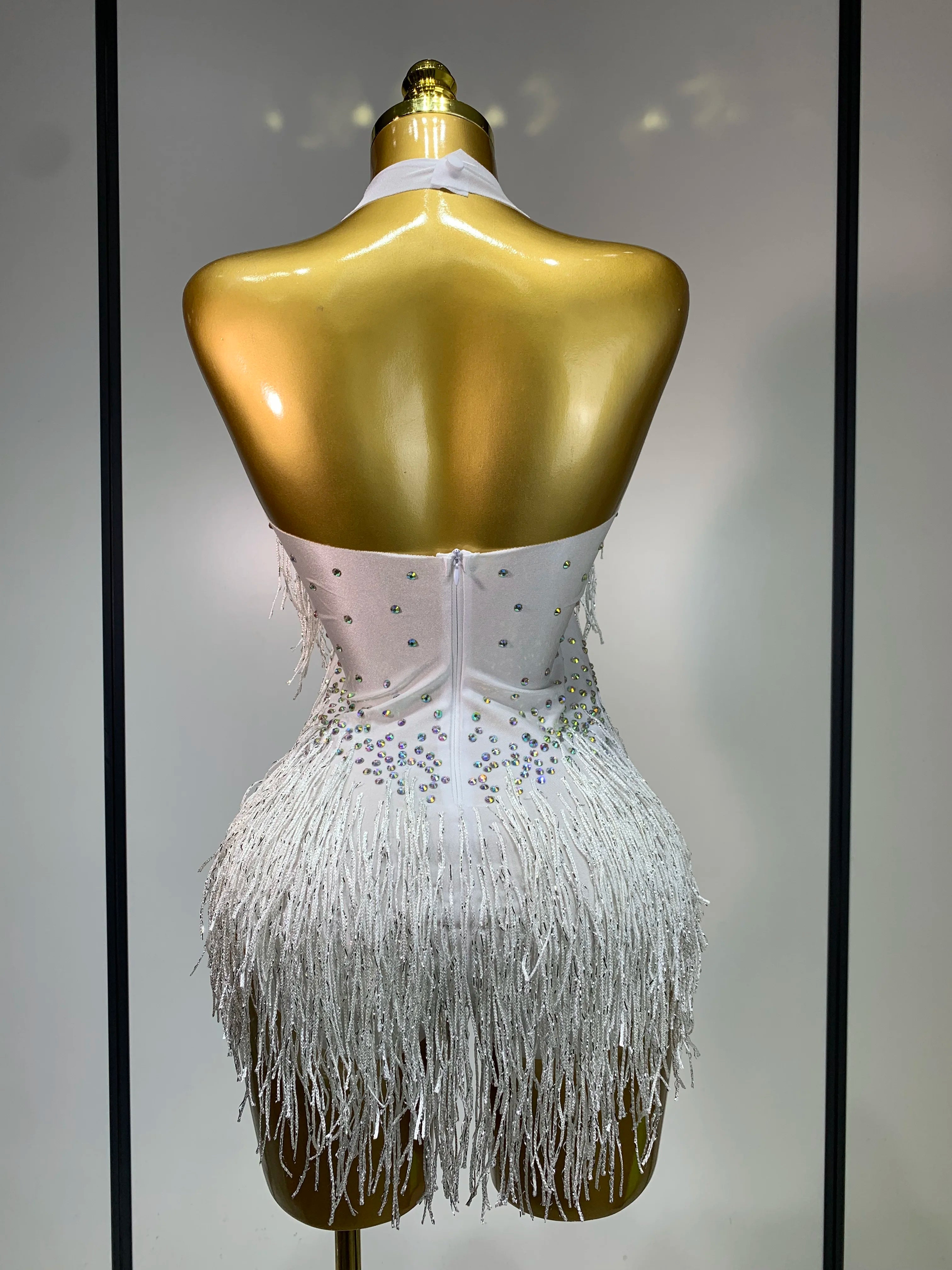 Sparkly Rhinestones Fringes Leotard Women Nightclub Evening Party Outfit Dance Costume Stage Outfit Sexy Performance Bodysuit