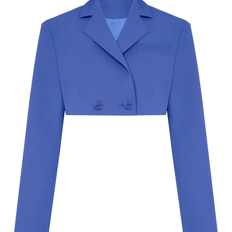 Casual Two Piece Sets Women's Fall Outfits New Black Matching Sets With Skirt And Blazer Cropped Top Suit For Women Only Blue Coat