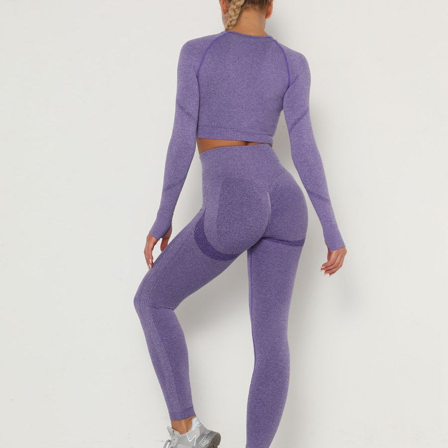 Women's Sets Skinny Tracksuit Breathable Bra Long Sleeve Top Seamless Outfits High Waist Push Up Leggings Gym Clothes Sport Suit New Set Purple