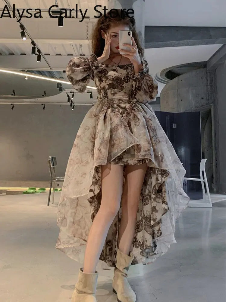 Autumn Floral Fairy Dresses for Women Luxury Designer Slim Korean Princess Dresses Female Chic Elegant Casual Party Dresses Floral Dress