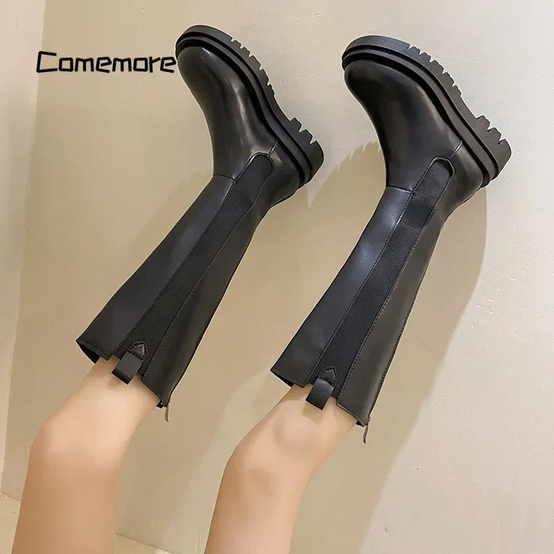 Women Heels Fashion Slip on Shoes Ladies Elegant Thick Sole Long Knight Boot Demi-season Platform Winter Punk Boots