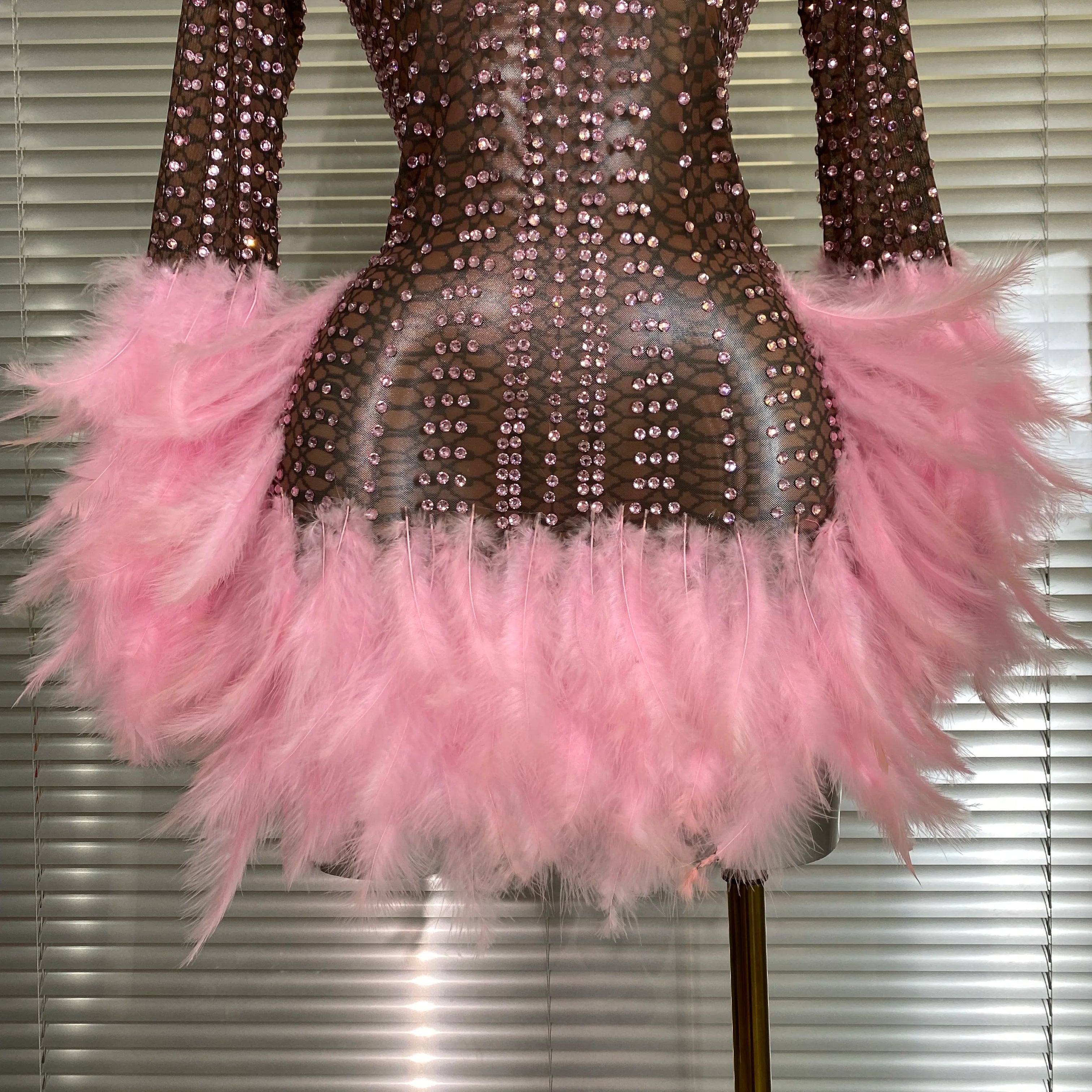 New Women Sexy Transparent Stretched Mesh Feathers Stage Performance Costume Stage Dancer Singer Mini Night Club Party Dress