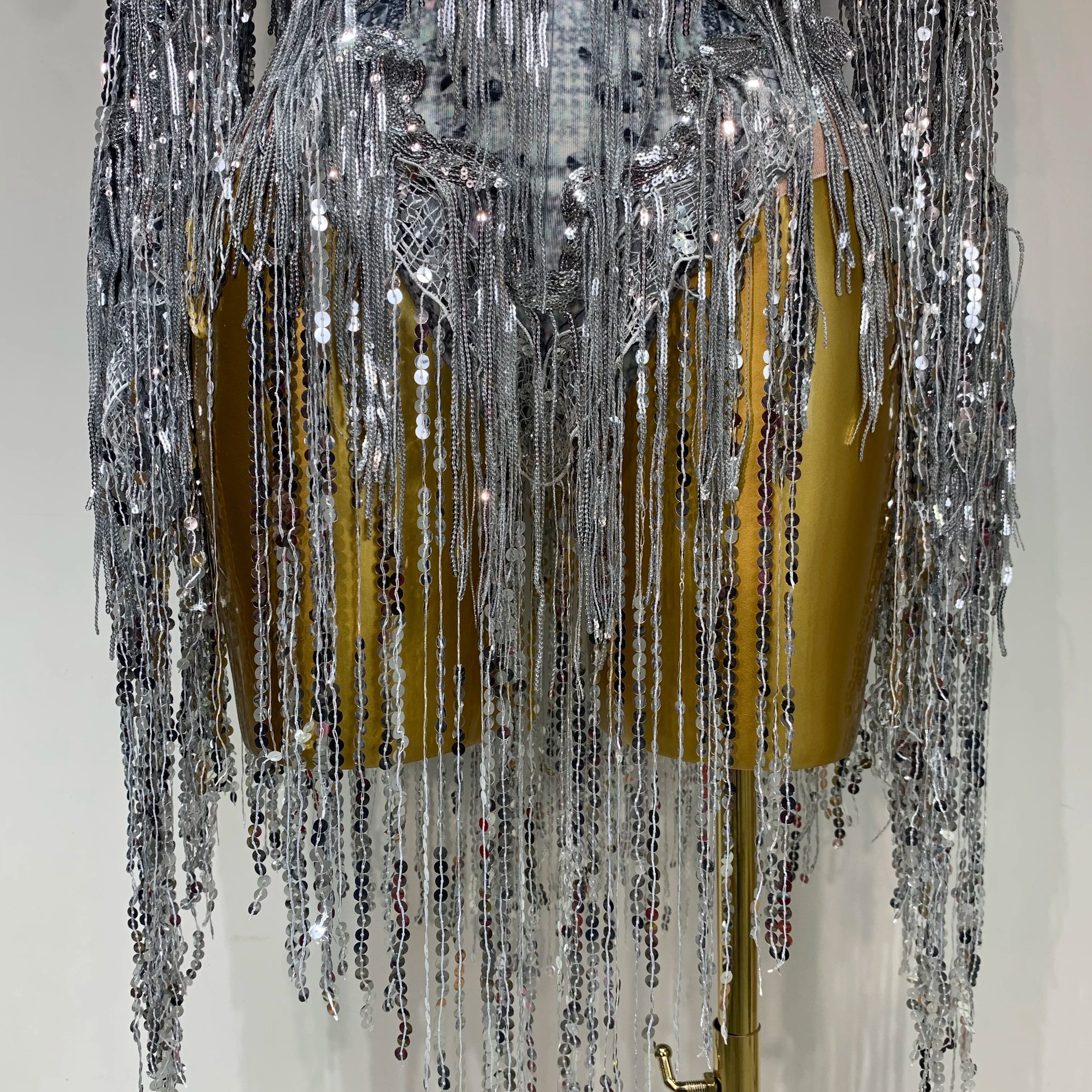 Sparkly Sequin Tassels Long Sleeve Silver Bodysuit Bar Women Singer Show Costume Celebrate Outfit Evening Dance Stage Outfit