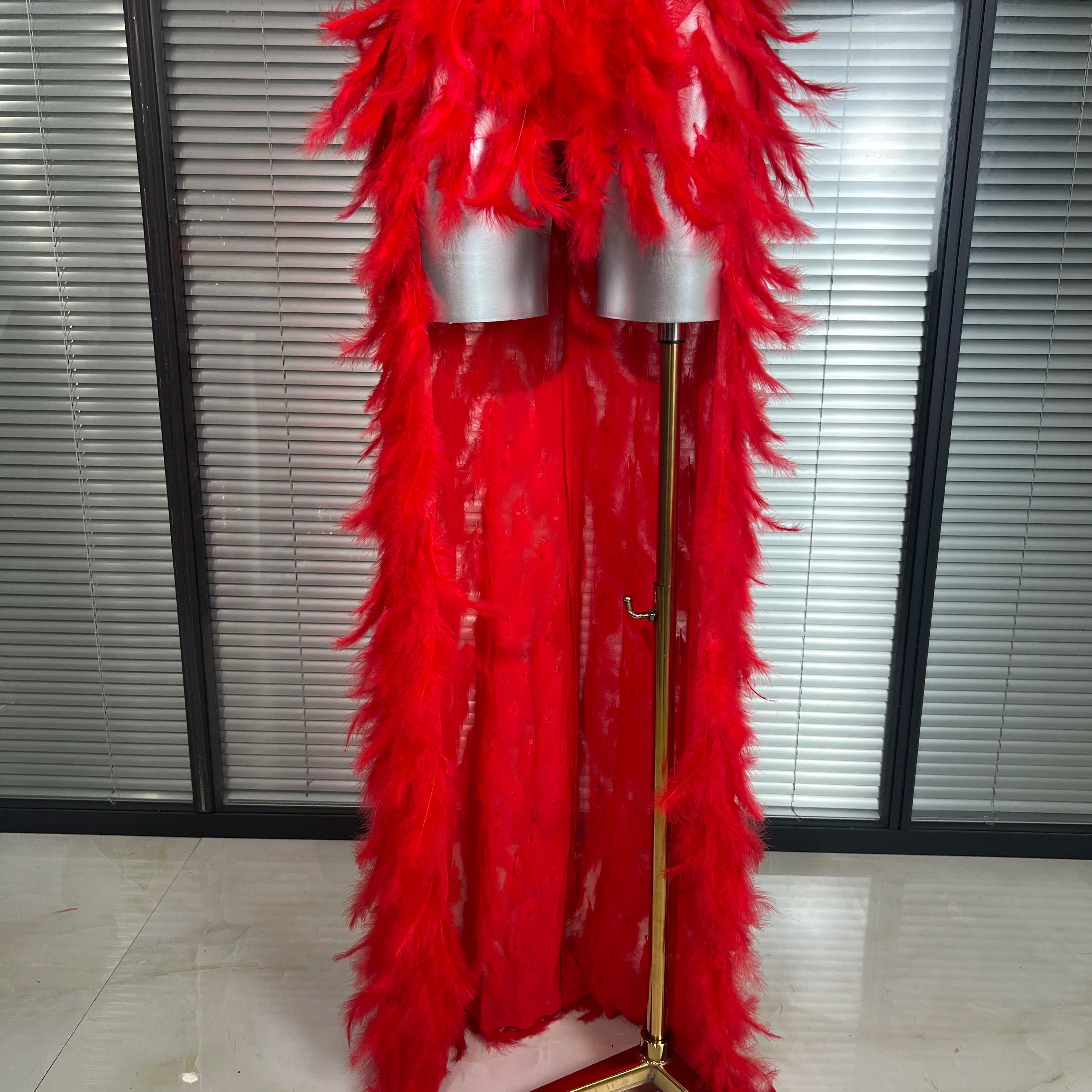 Women Sexy Mesh Feathers Stage Costume Stage Red Stretchy Night Club Bodysuit Party Maxi Dress