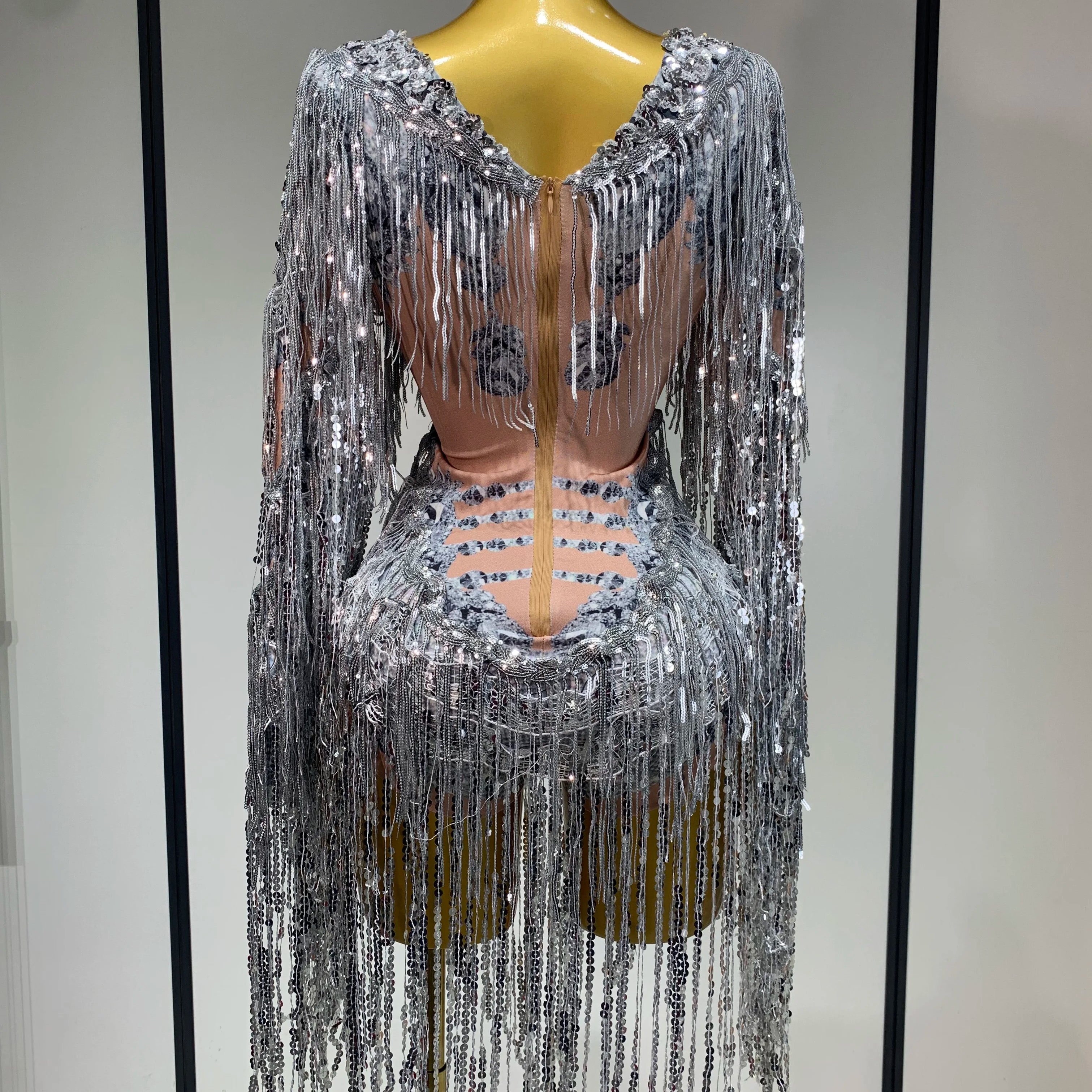 Sparkly Sequin Tassels Long Sleeve Silver Bodysuit Bar Women Singer Show Costume Celebrate Outfit Evening Dance Stage Outfit