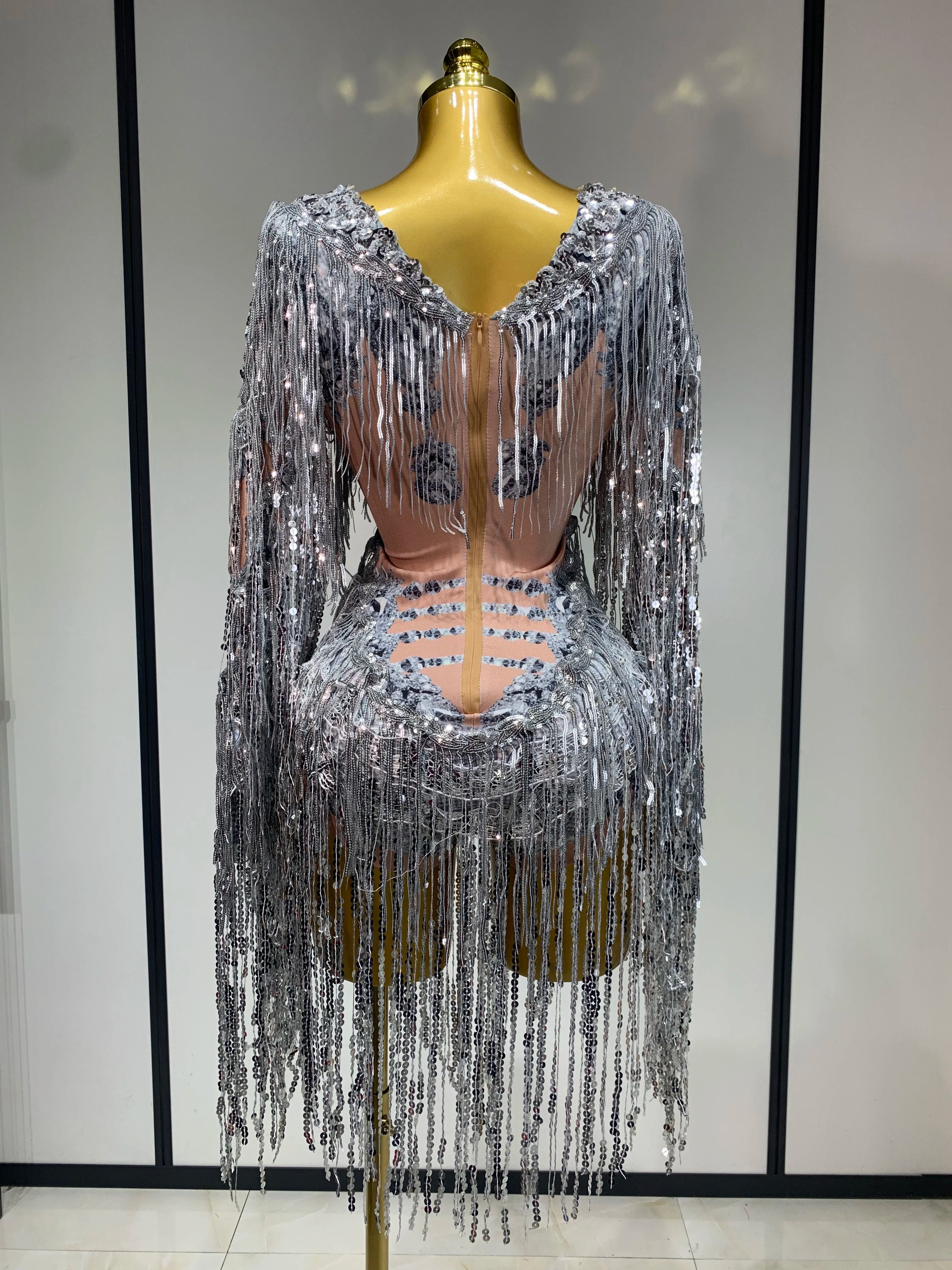 Sparkly Sequin Tassels Long Sleeve Silver Bodysuit Bar Women Singer Show Costume Celebrate Outfit Evening Dance Stage Outfit