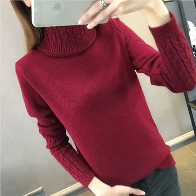 Women Sweater Turtleneck Pullovers Autumn Winter Sweaters New 2023 Long Sleeves Thick Warm Female Sweater Khaki Burgundy