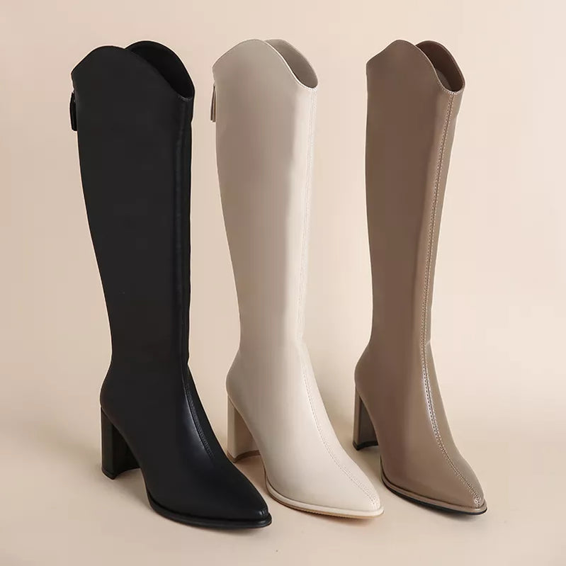 Plus Size 34-43 Women Boots Zipper Thick High Heels Simple Thick High Heels Autumn Winter Boots Knee High Botas