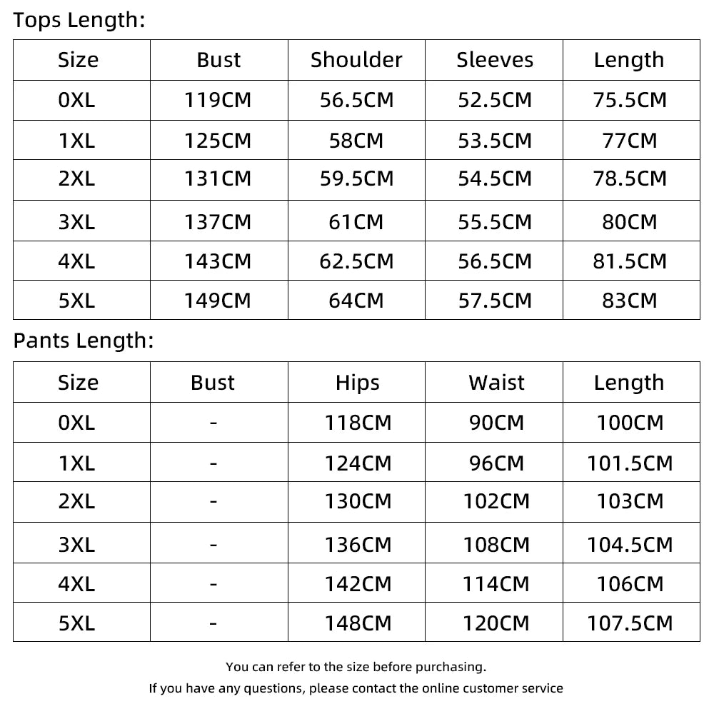 Women's Plus Size Casual Two Piece Set Leopard 3/4 Sleeve Crew Neck Tops T-Shirt Elastic Waist Straight Loose Pockets Pants Sets