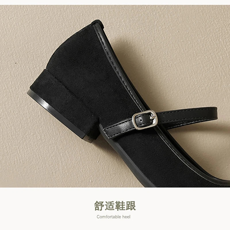 spring women's shoes Fashionable design Marie-Jane shoes Women's casual high heels and boat shoes Office and party wear