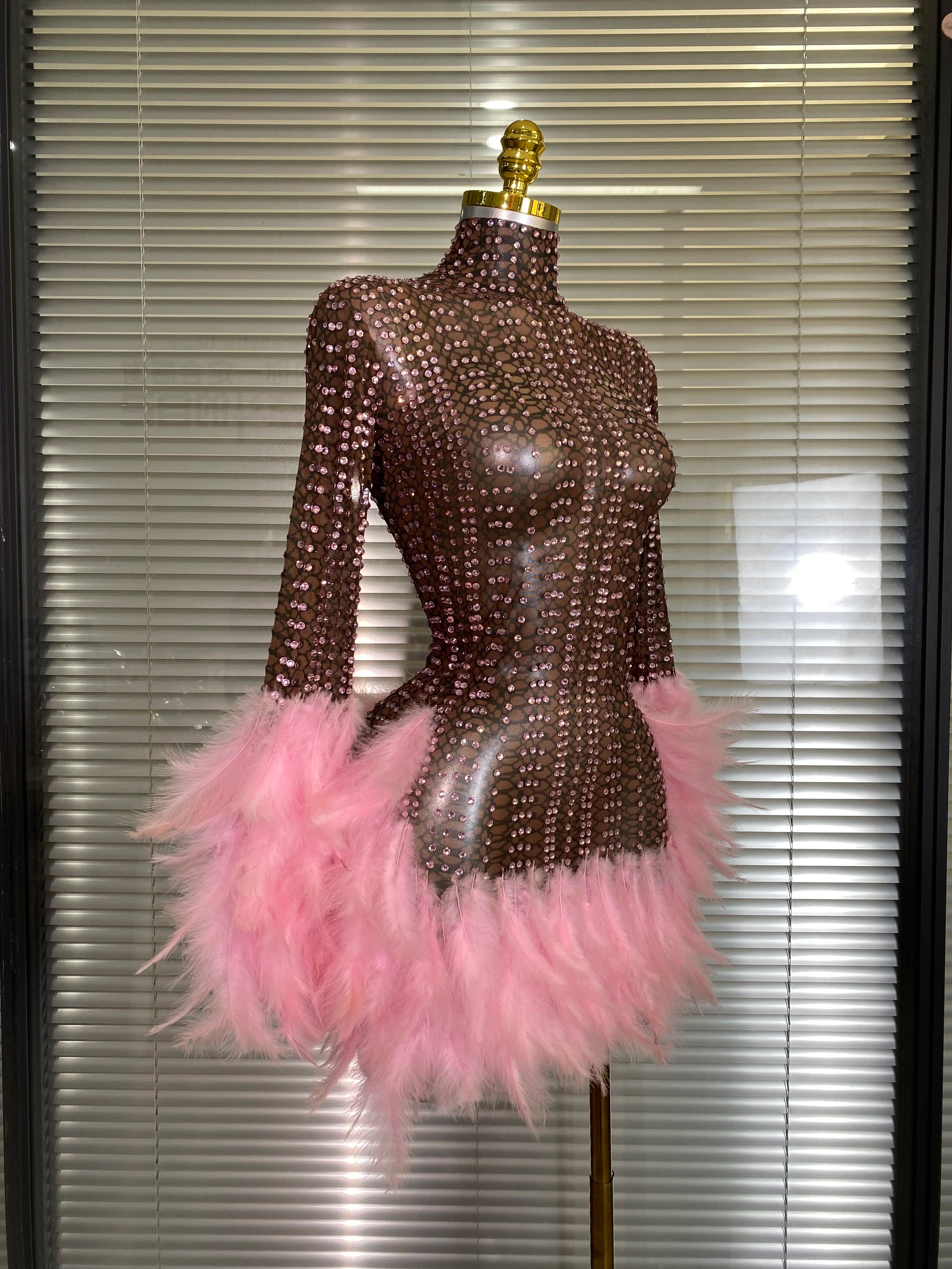 New Women Sexy Transparent Stretched Mesh Feathers Stage Performance Costume Stage Dancer Singer Mini Night Club Party Dress