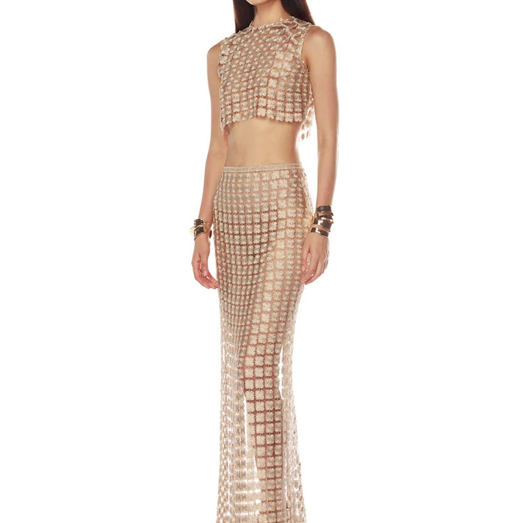 VC Stylish Beige Sleeveless Cropped Top & Sheer Skirt Set with Zipper for Festival & Party Chic Dress Gown