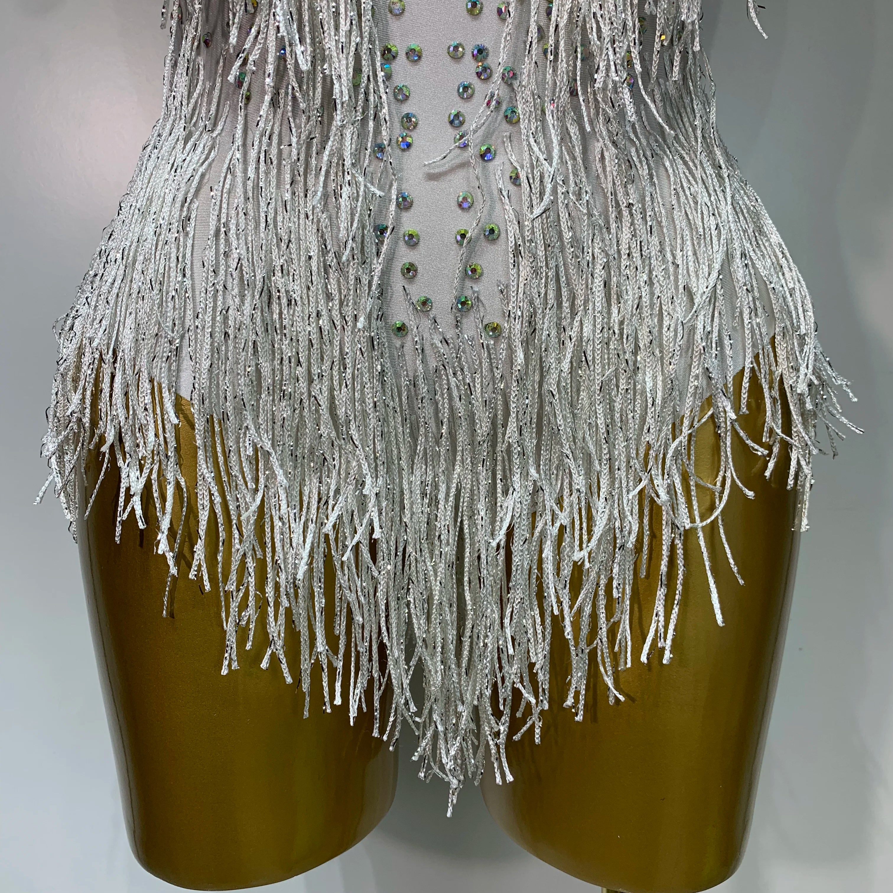 Sparkly Rhinestones Fringes Leotard Women Nightclub Evening Party Outfit Dance Costume Stage Outfit Sexy Performance Bodysuit