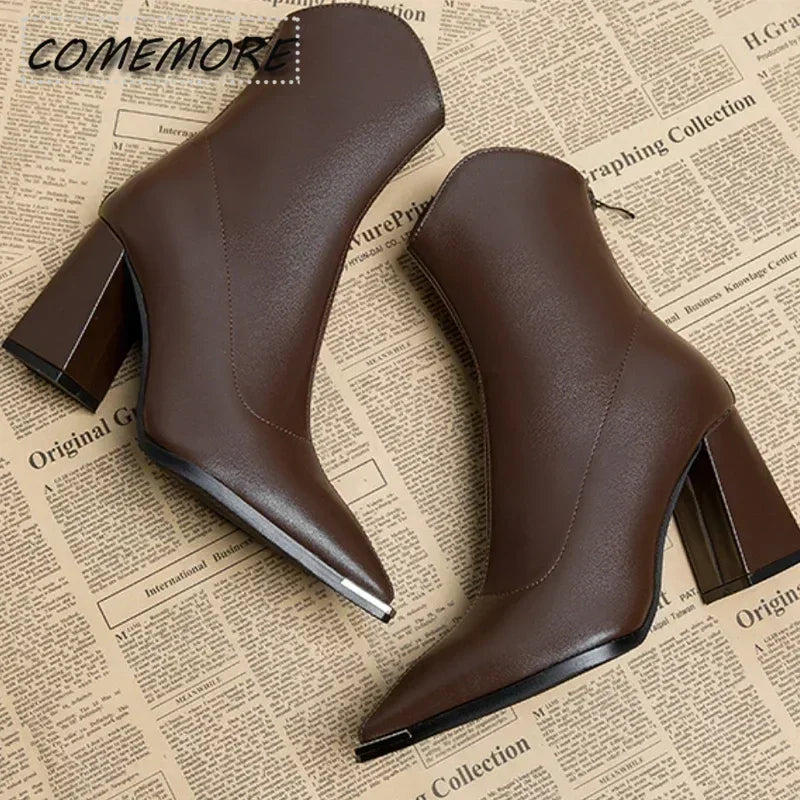 Winter High Heels Sexy Women Luxury Shoes Chunky Ankle Chelsea Boots Fashion New Pointed Toe Zipper Goth Pumps Black Brown