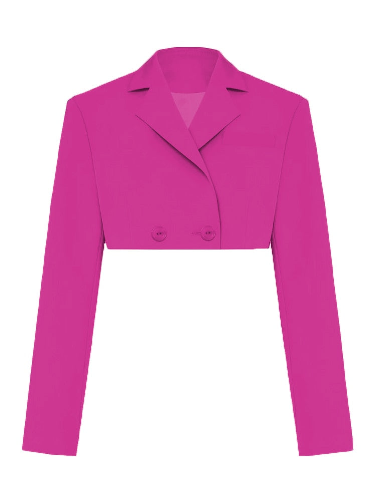 Casual Two Piece Sets Women's Fall Outfits New Black Matching Sets With Skirt And Blazer Cropped Top Suit For Women Only Rose Red Coat