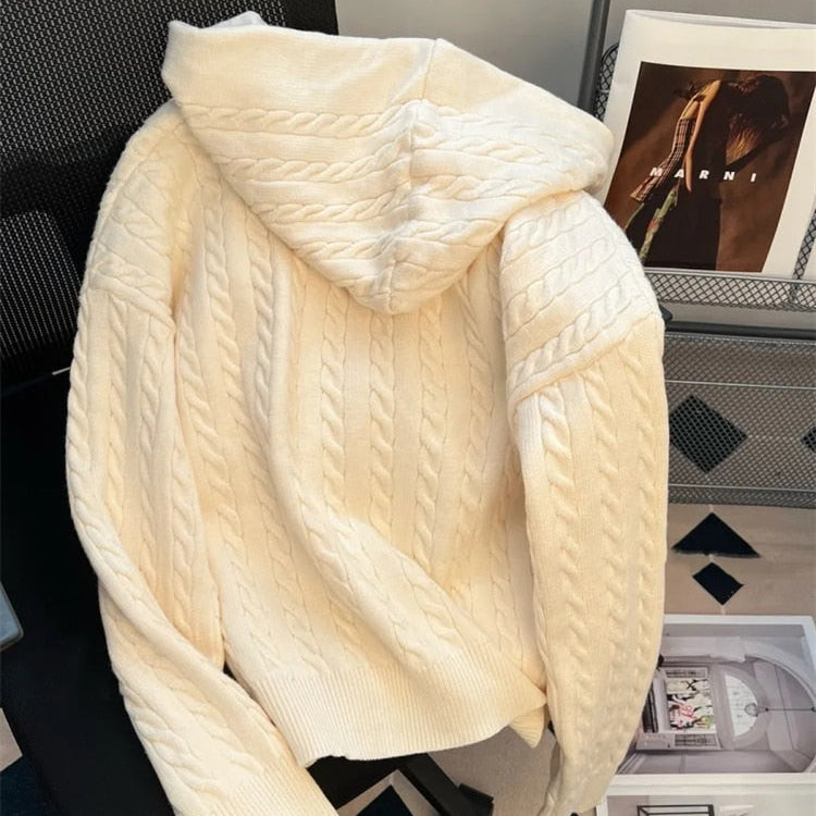 Vintage Hooded Loose Knitted Cardigan Long Sleeve Zipper Tops Retro Women Spring Fall Sweater Casual New Knitwears Gilet