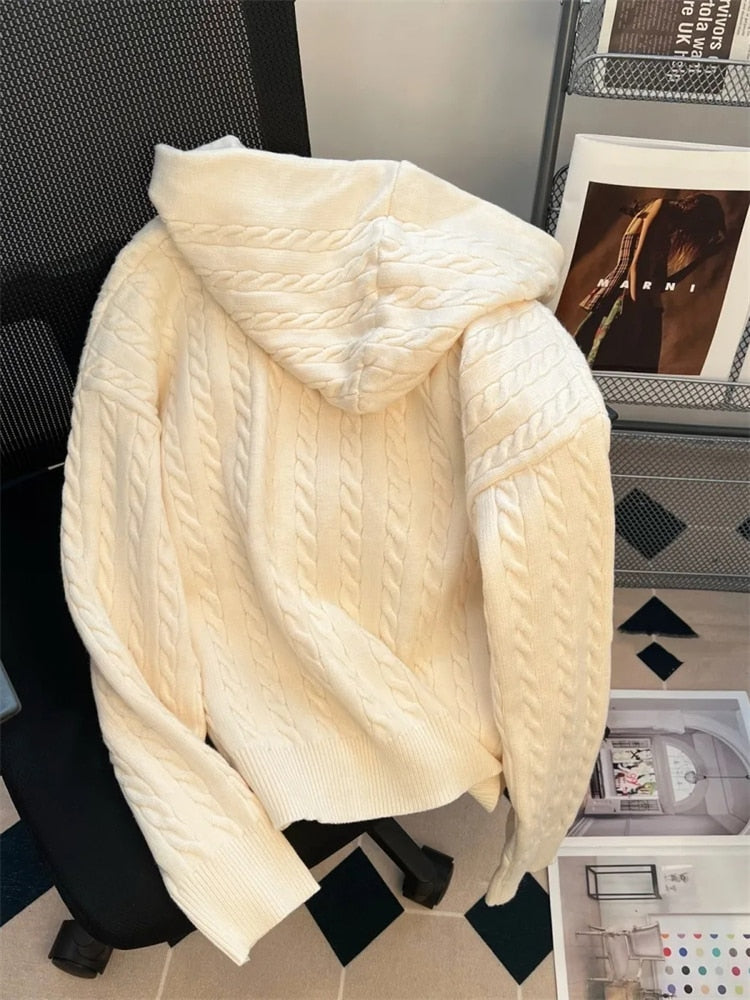 Vintage Hooded Loose Knitted Cardigan Long Sleeve Zipper Tops Retro Women Spring Fall Sweater Casual New Knitwears Gilet