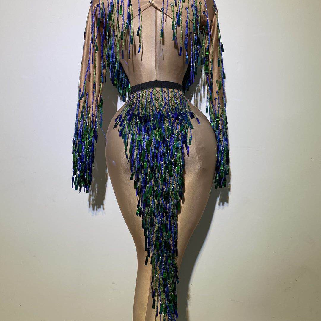 Latin Dance Costume Sequin Fringe Tassel Stage Outfit Dress for Women Ballroom Competition Dresses Night Party Clubwear