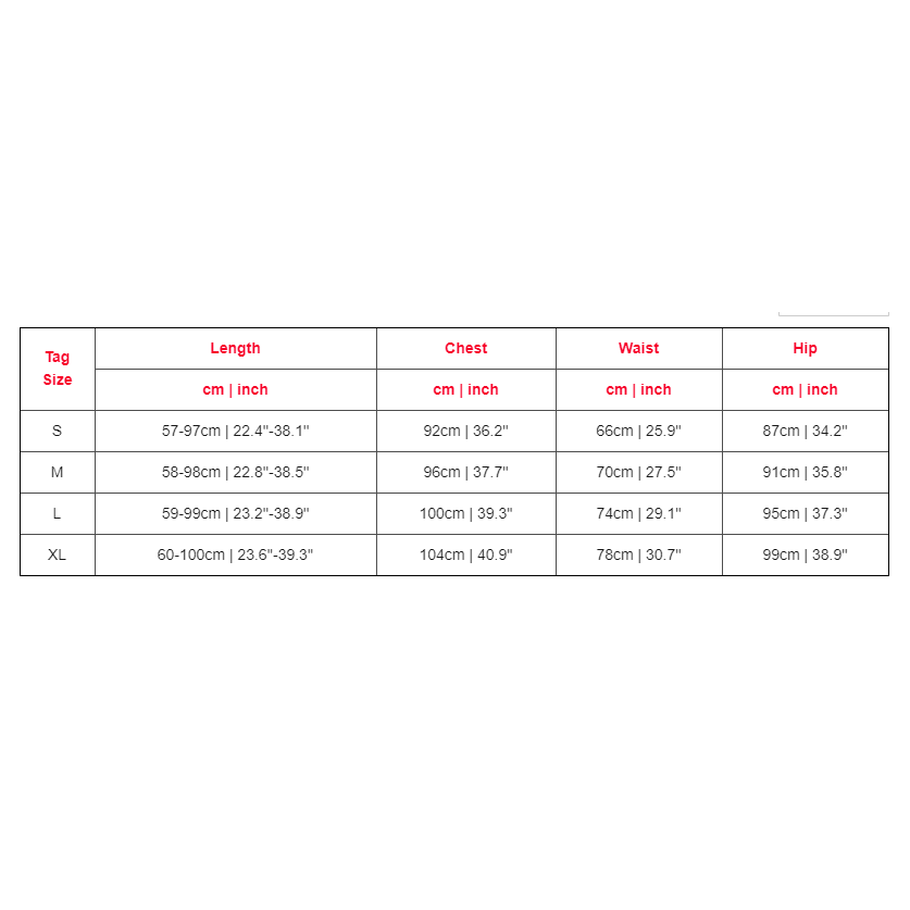 Women Two Piece Set Outfits Autumn Women's Tracksuit Zipper Top And Pants Casual Sport Suit Winter 2 Piece Woman Set